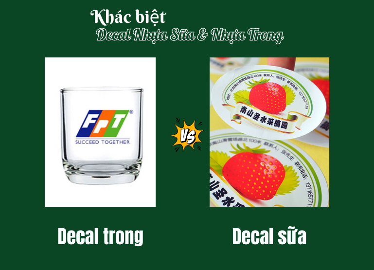 khác nhau giữa decal trong và decal sữa