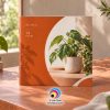 Mẫu in catalogue vuông